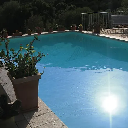 Affittacamere D'hotes Littariccia