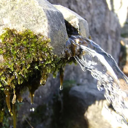 Affittacamere D'hotes Littariccia 4*