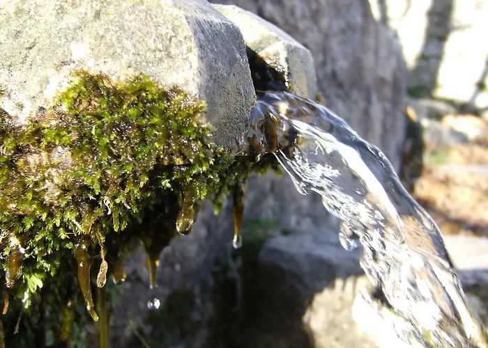 Vendégház D'hotes Littariccia 4*